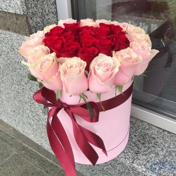 Қорапта 25 қызыл және қыз